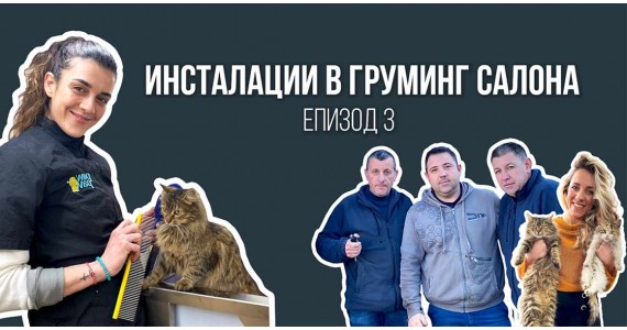 Инсталации в груминг салона